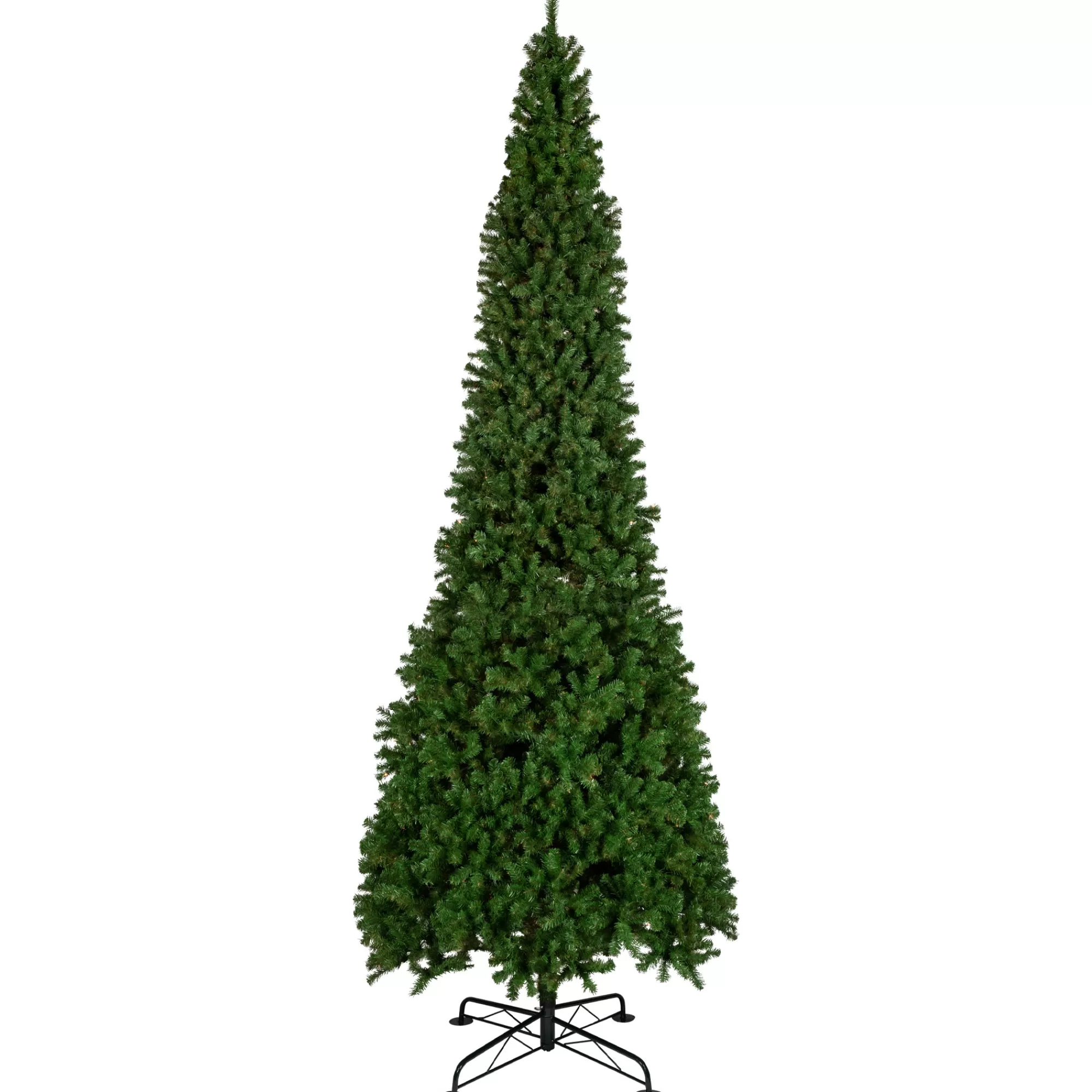 Northlight 16' Pendleton Spruce Slim Artificial Christmas Tree, Unlit< Commercial