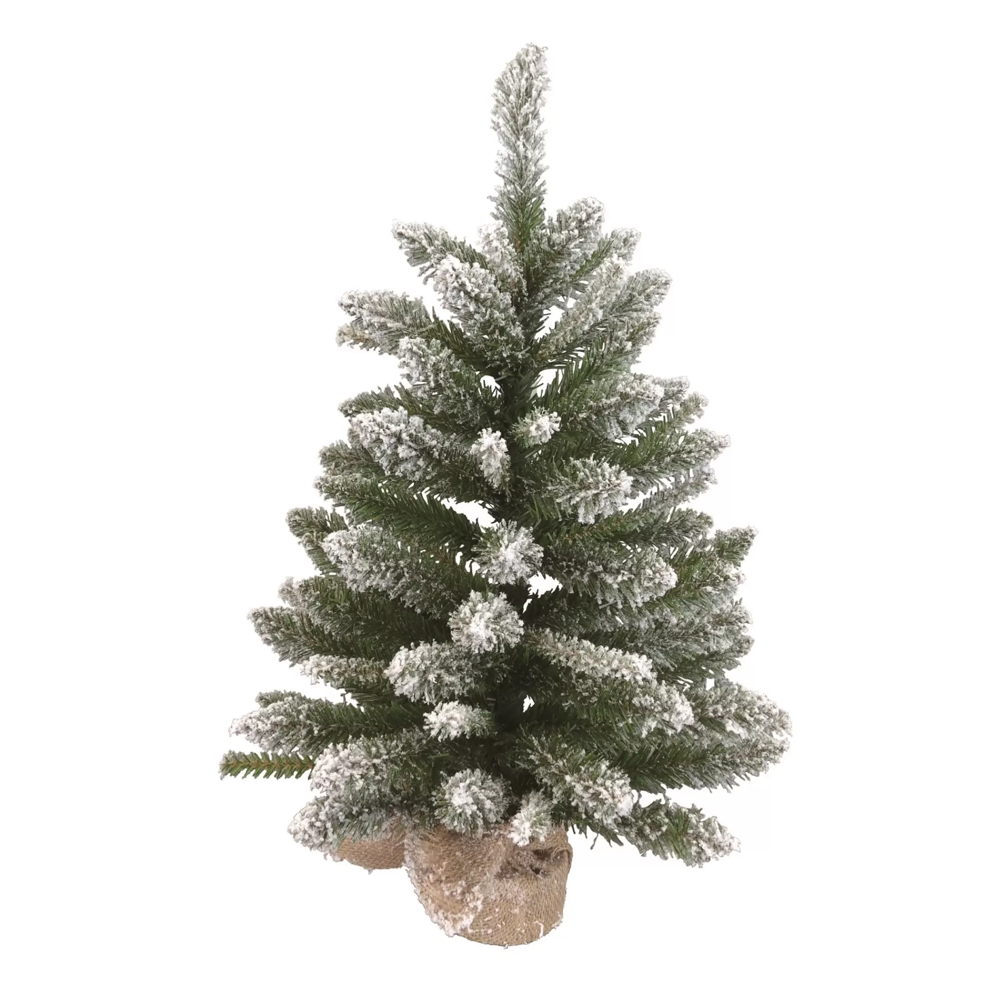 Contemporary Home Living 2' Potted Frosted Noble Fir Artificial Christmas Tree, Unlit< Flocked