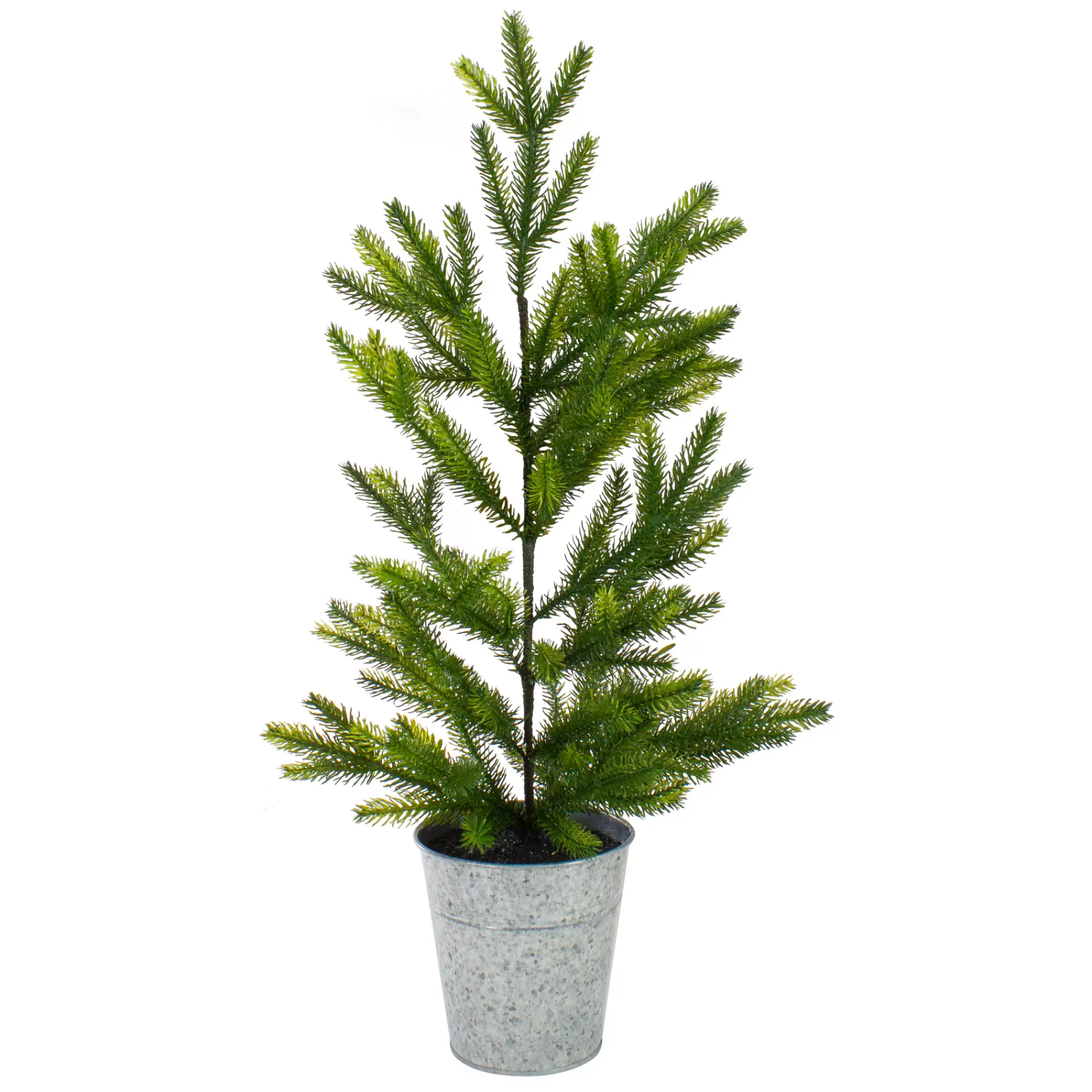 Northlight 2' Potted Pine Medium Artificial Christmas Tree – Unlit< Potted