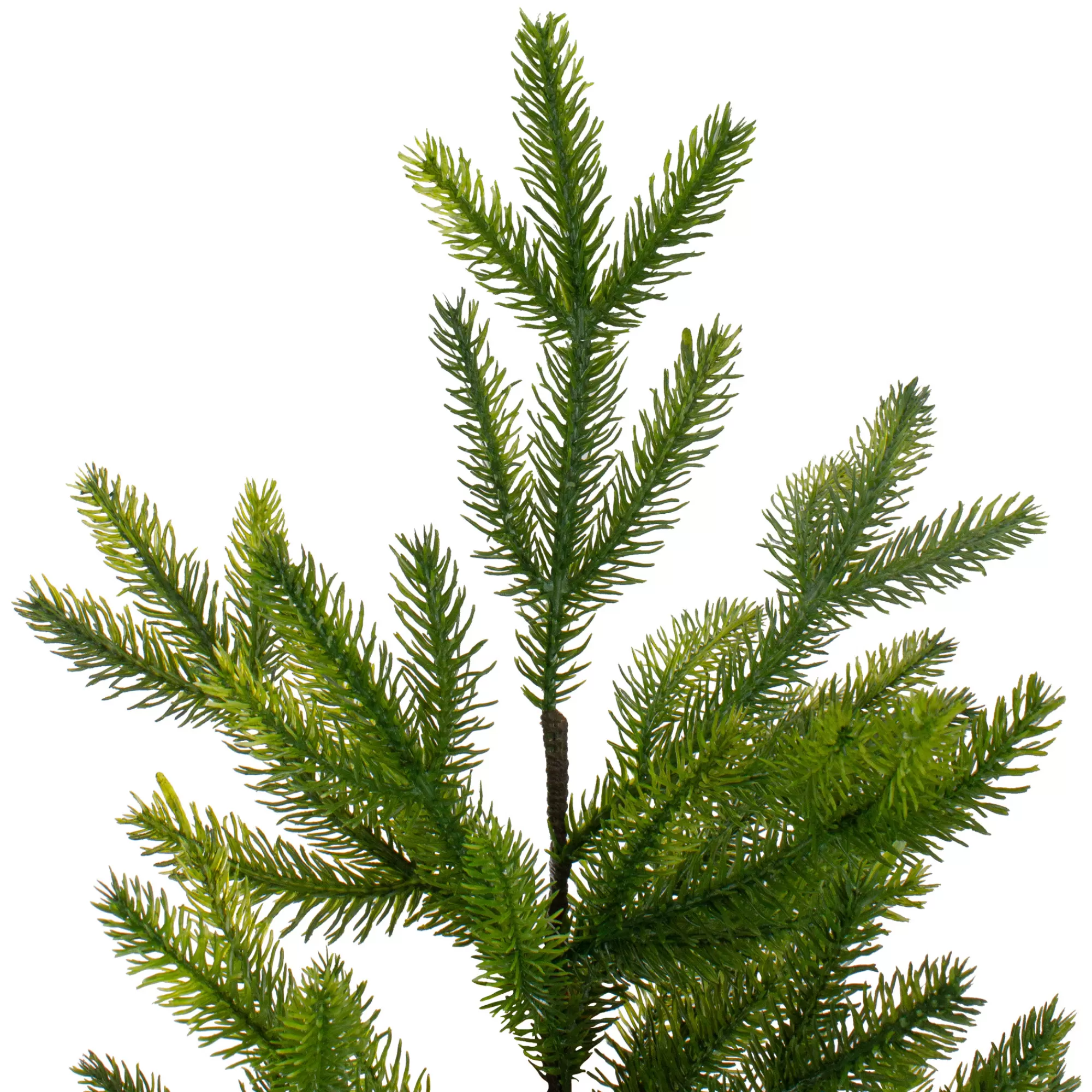 Northlight 2' Potted Pine Medium Artificial Christmas Tree – Unlit< Potted