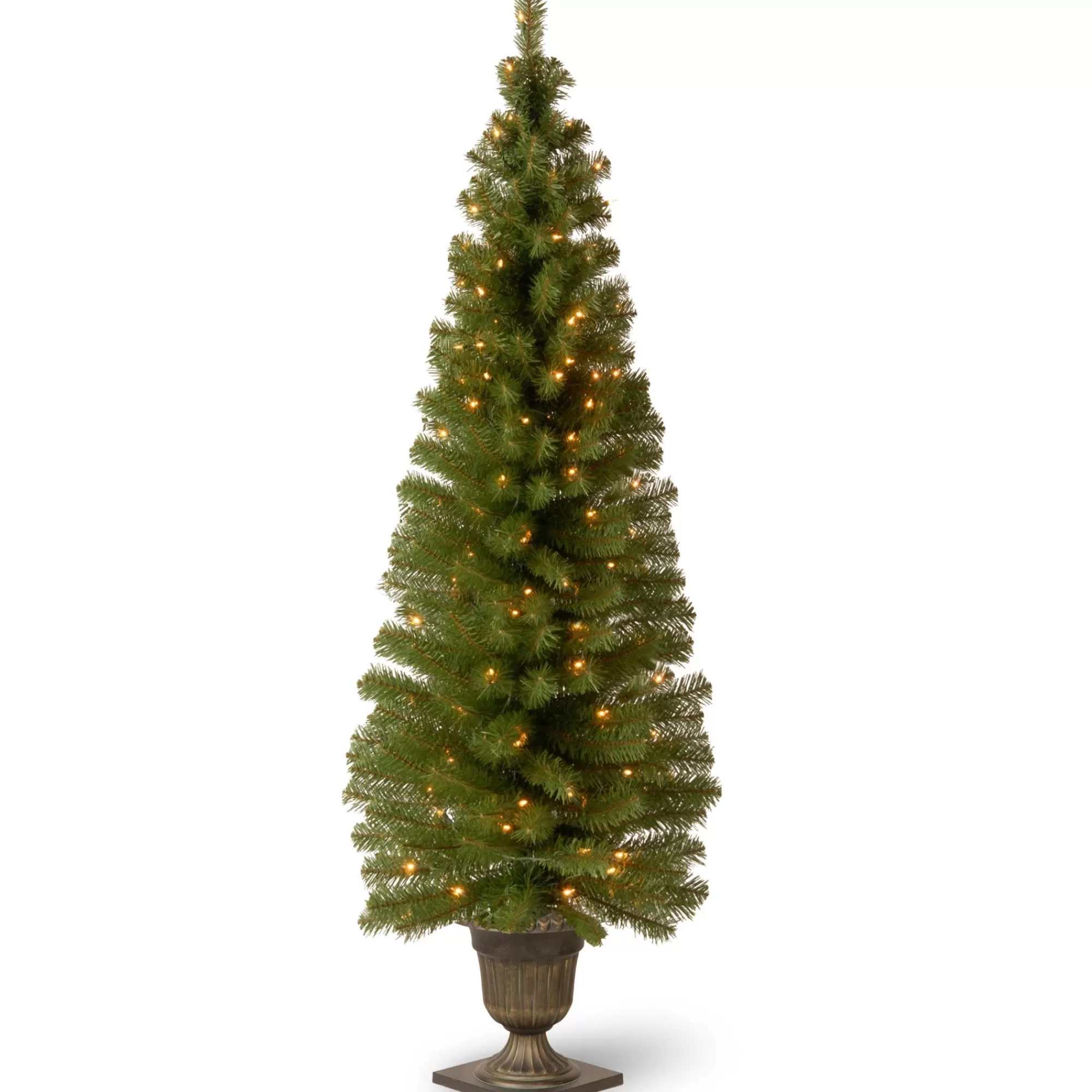 CC Christmas Decor 6' Pre-Lit Montclair Spruce Christmas Tree - Clear Lights< Potted