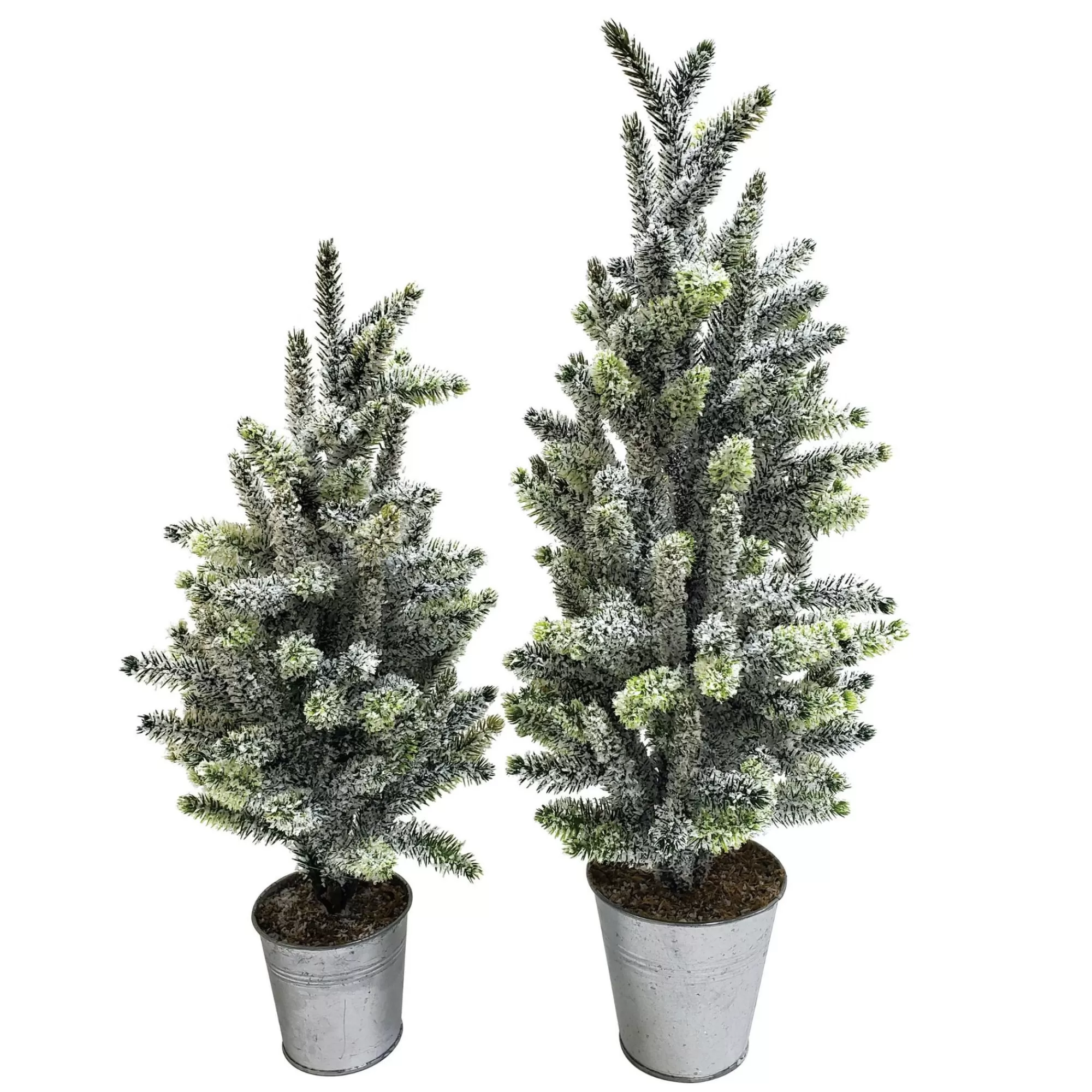 Contemporary Home Living Set Of 2 Potted Frosted Artificial Christmas Trees 20.75"< Potted